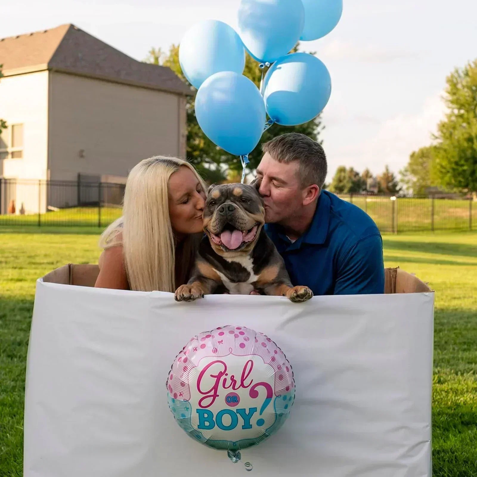 From Foster to Forever: How Meatball Found His Way Home  Part 1