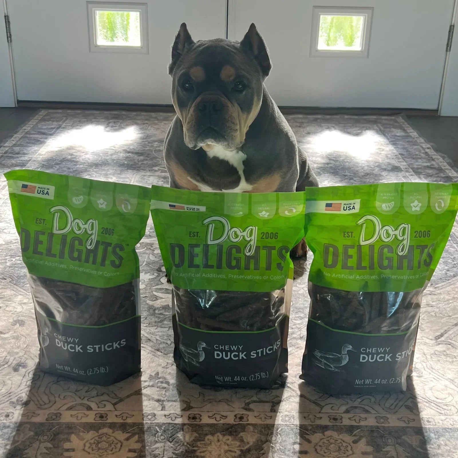 Meatball’s Summer Snack Picks