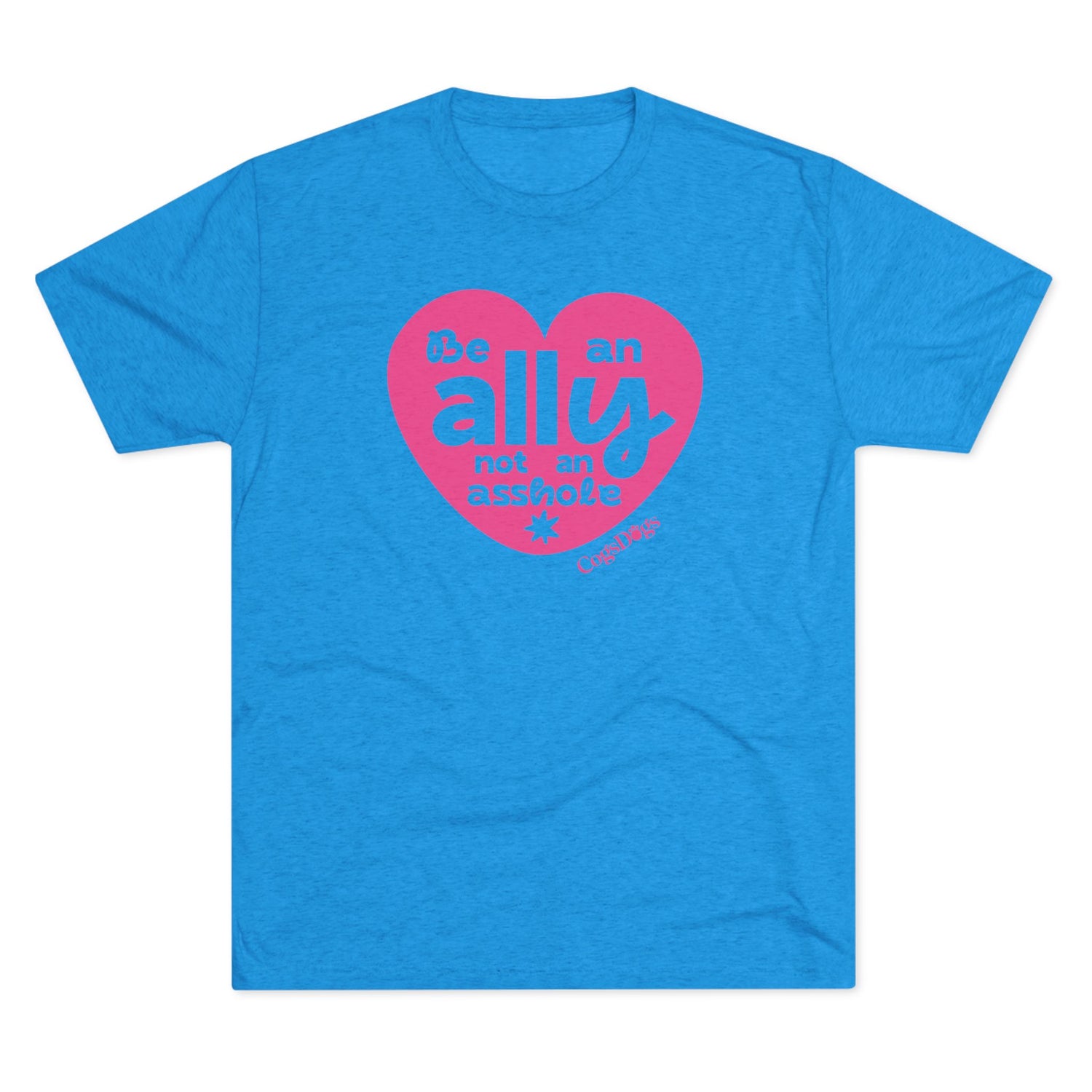 Be an Ally Not an Asshole T-Shirt