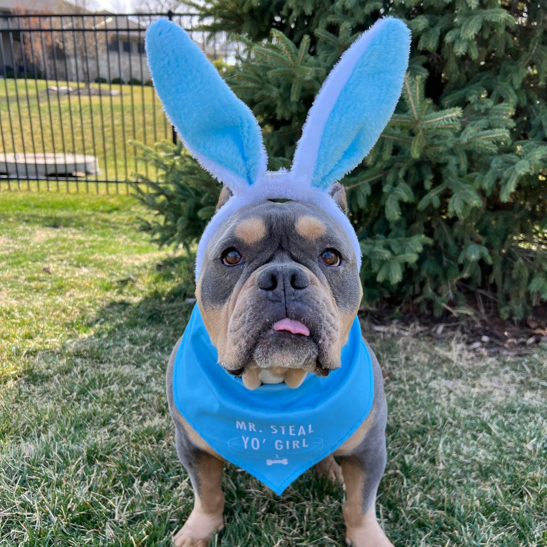 Mr. Steal Yo Girl Dog Bandana