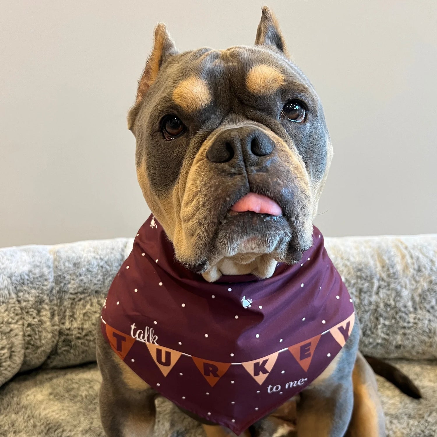 Talk Turkey To Me Dog Bandana