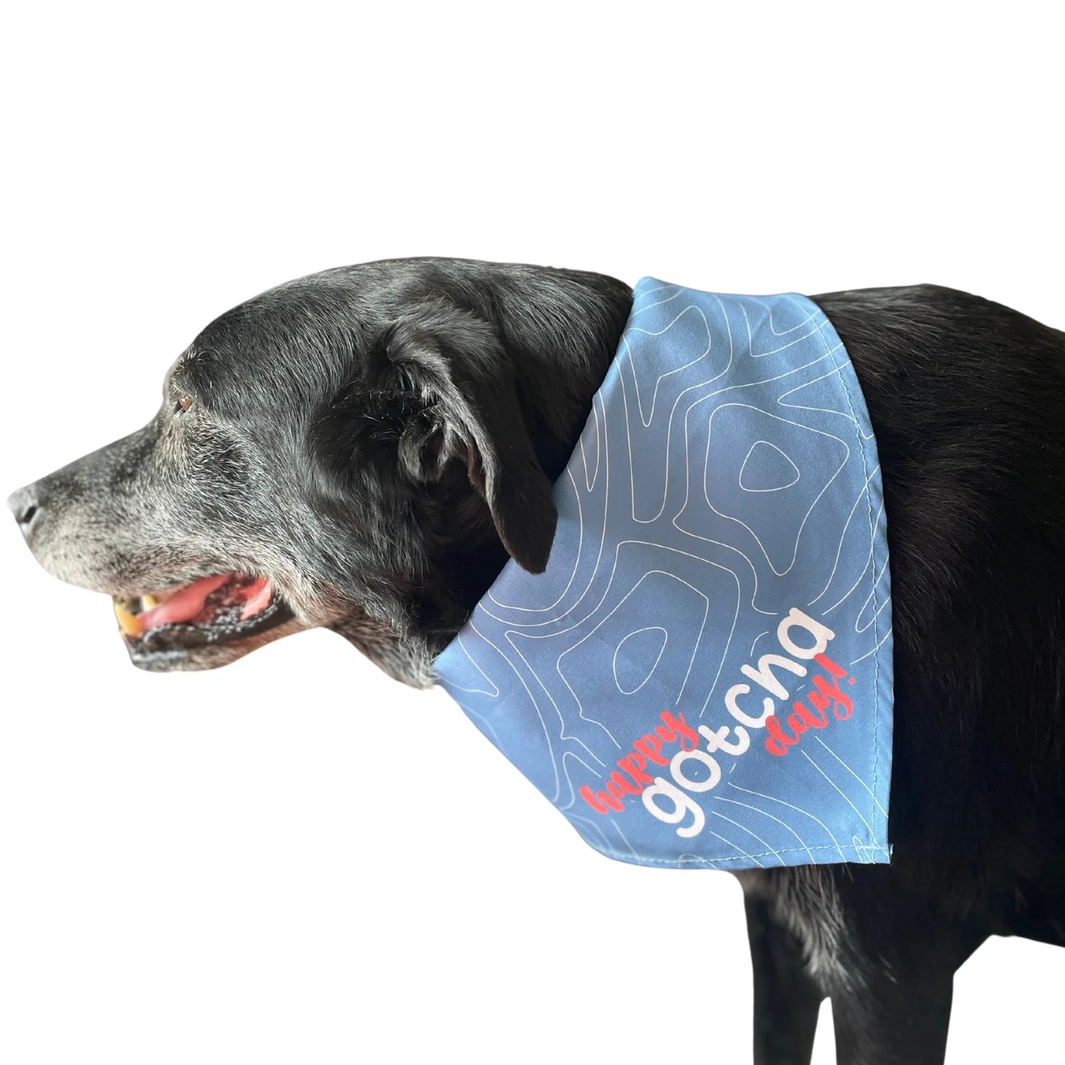 Happy Gotcha Day Dog Bandana
