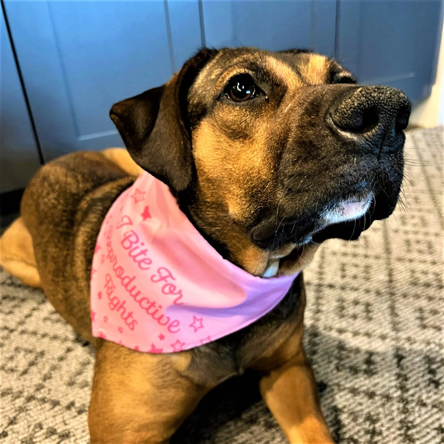 I Bite for Reproductive Rights Dog Bandana