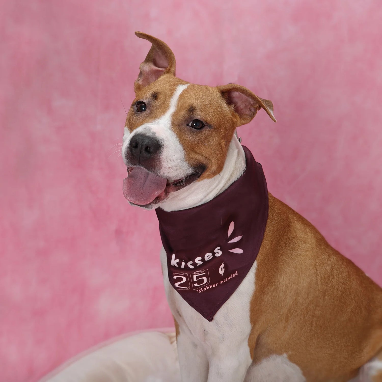 Dog Kisses Dog Bandana