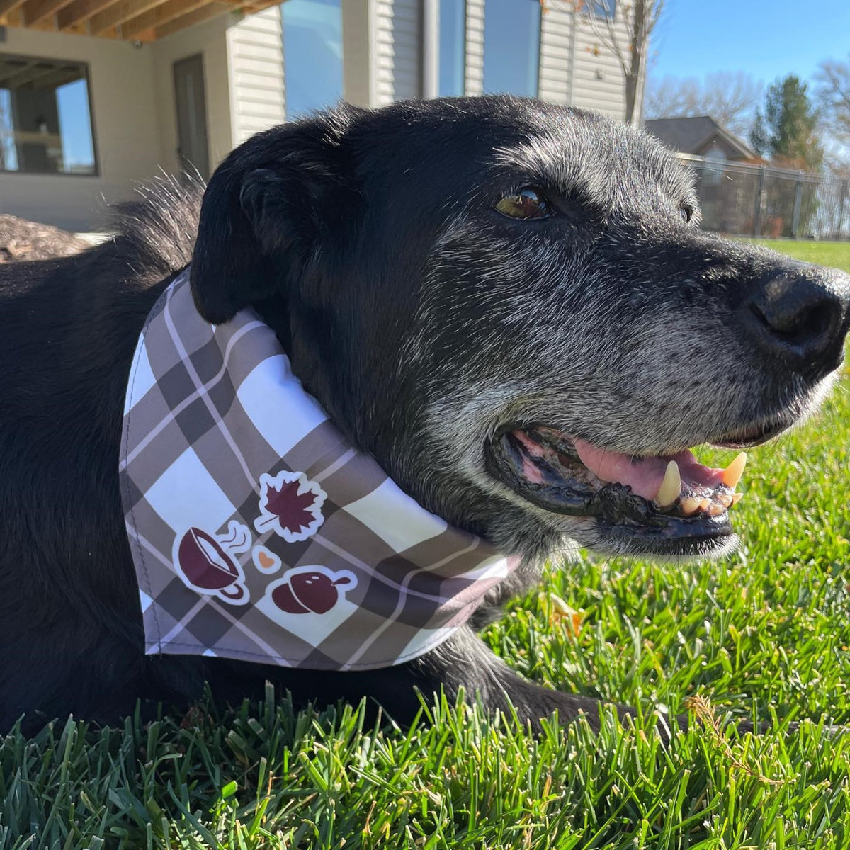 Fall Plaid Dog Bandana