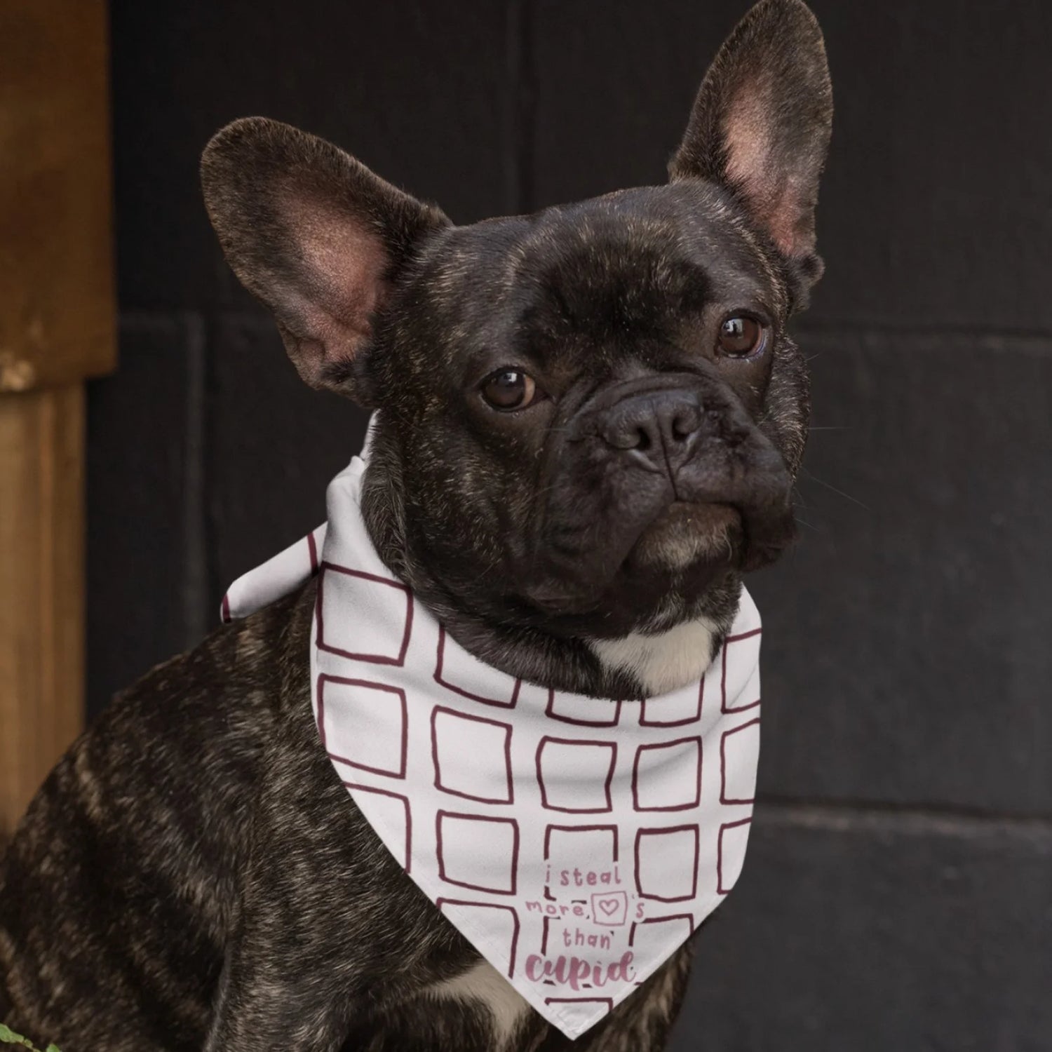 I Steal More Hearts Than Cupid Dog Bandana