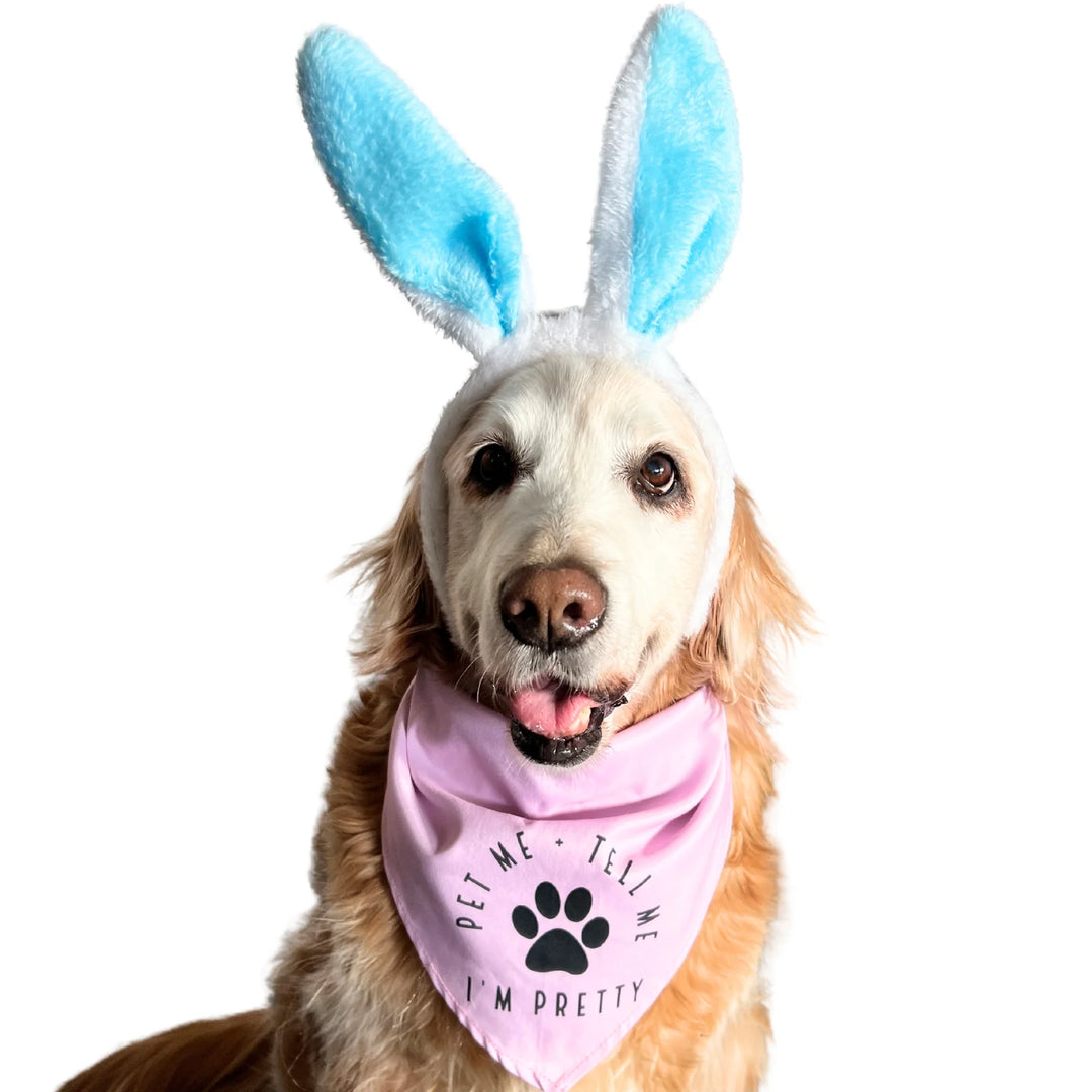 Pet Me And Tell Me I'm Pretty Dog Bandana