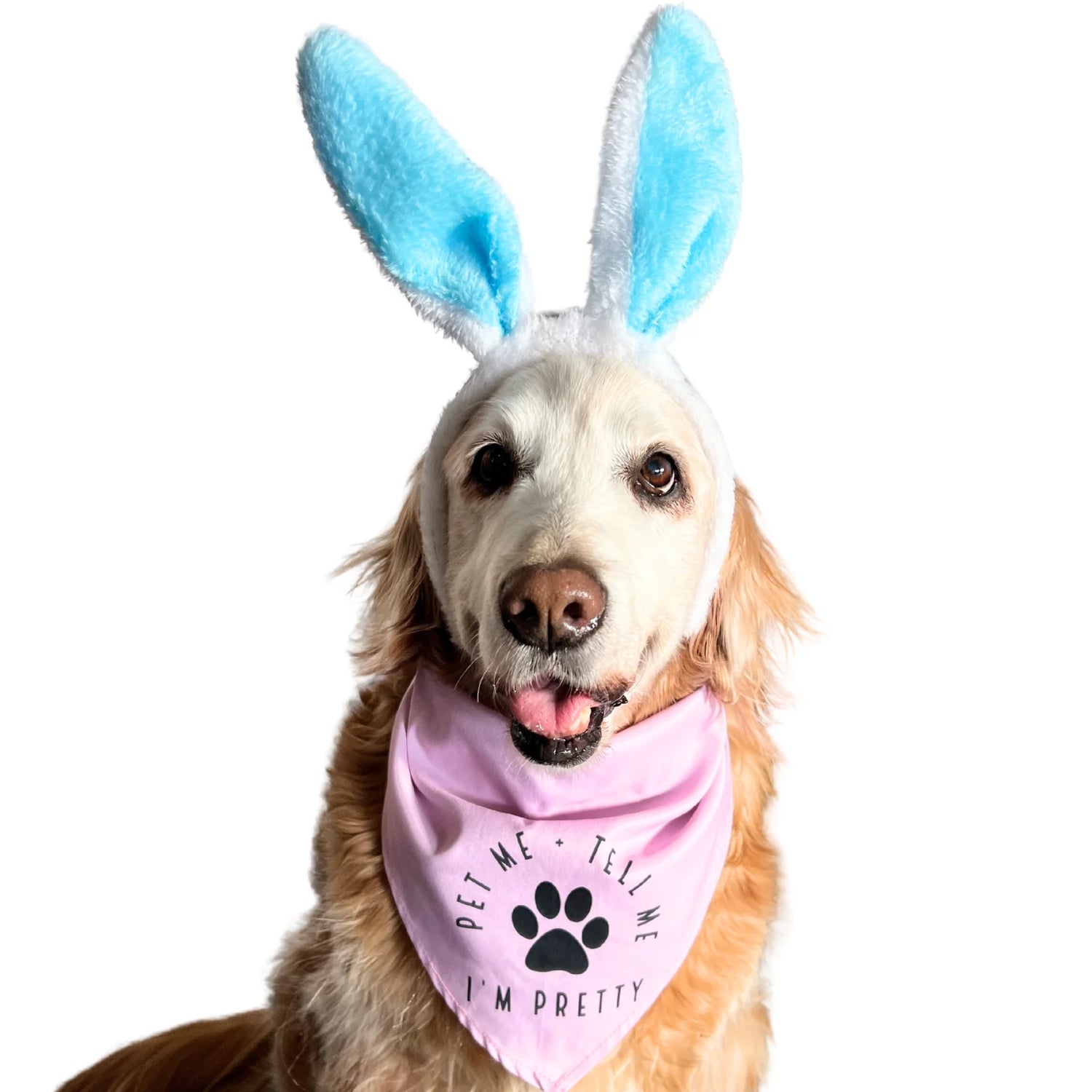 Pet Me And Tell Me I'm Pretty Dog Bandana