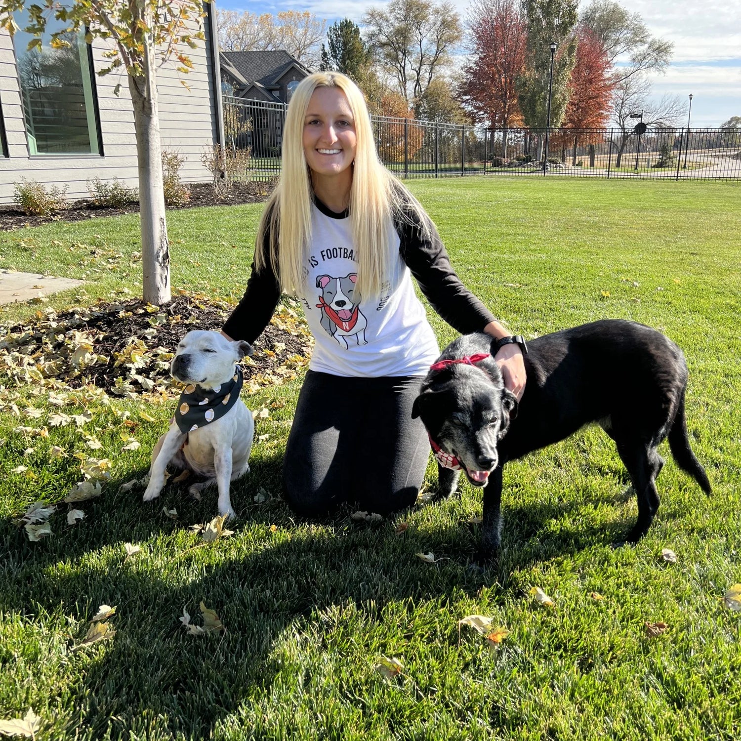 Green Bay Football Dog Bandana