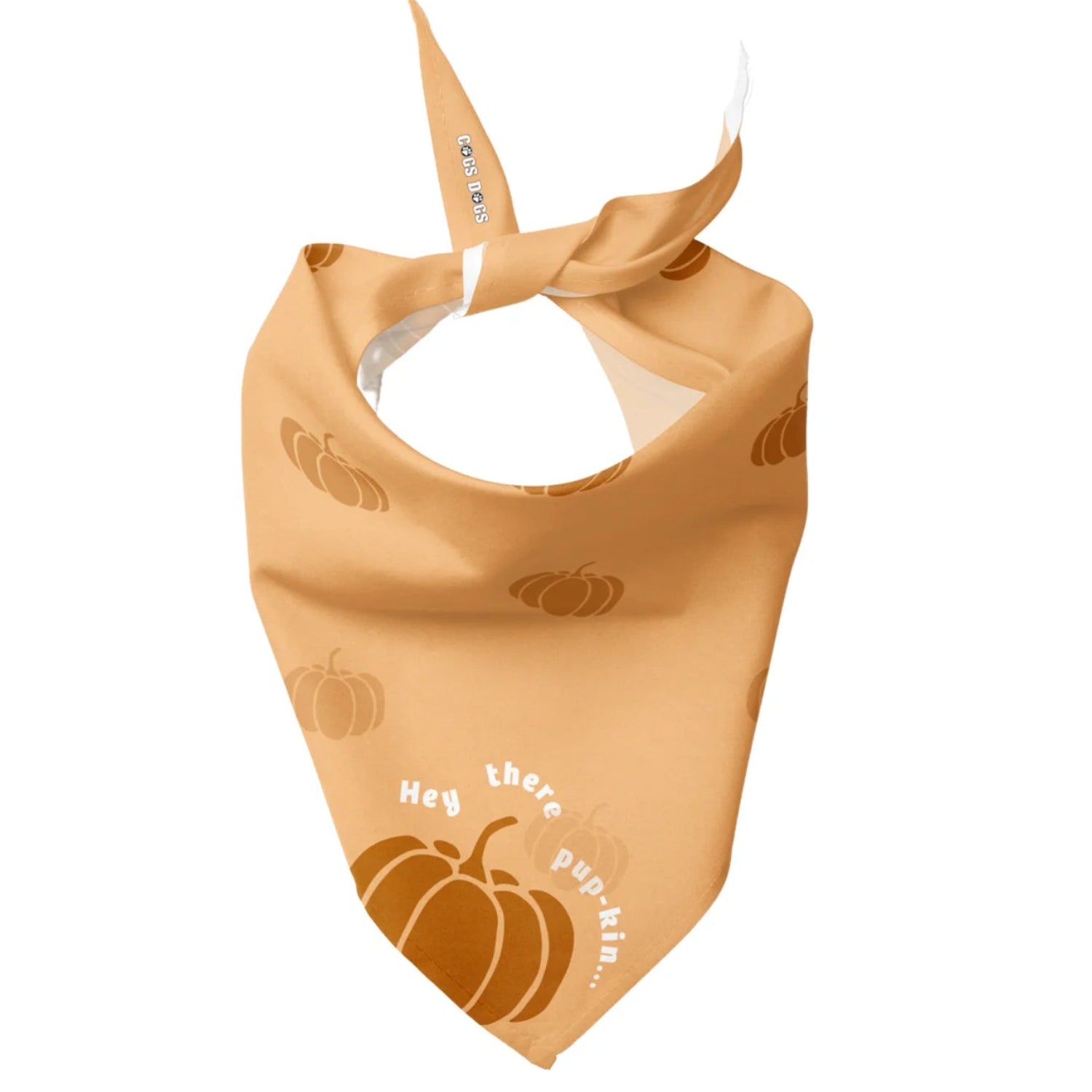 Hey There Pup-kin Dog Bandana
