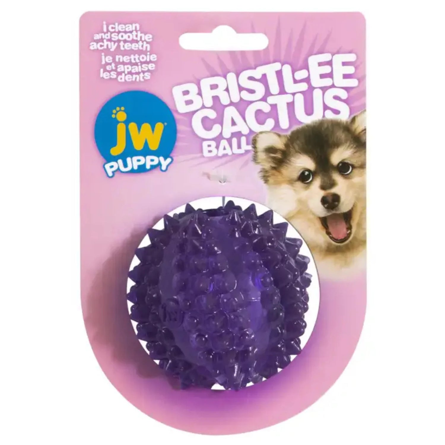 JW Puppy Bristl-ee Cactus Ball Dog & Puppy Toy