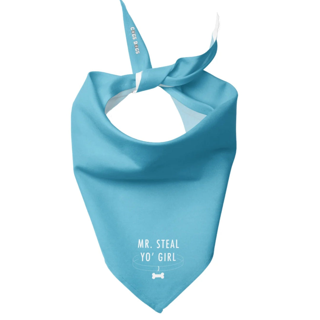 Mr. Steal Yo Girl Dog Bandana