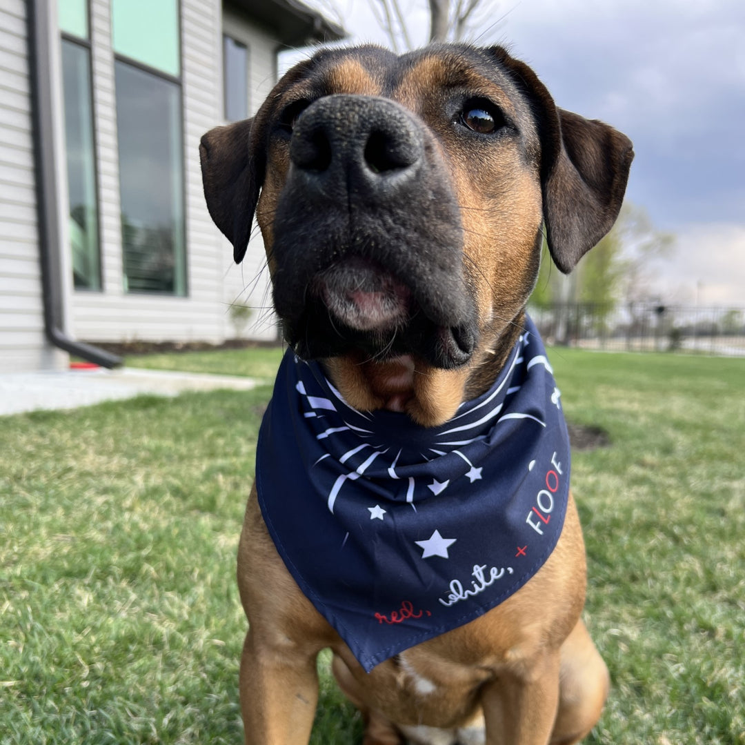 Red, White, + Floof Dog Bandana