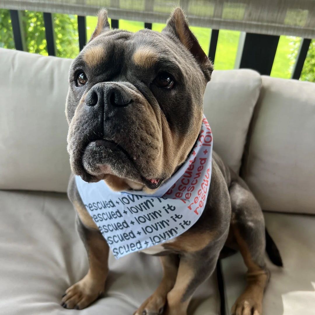 Rescued + Lovin' It Dog Bandana