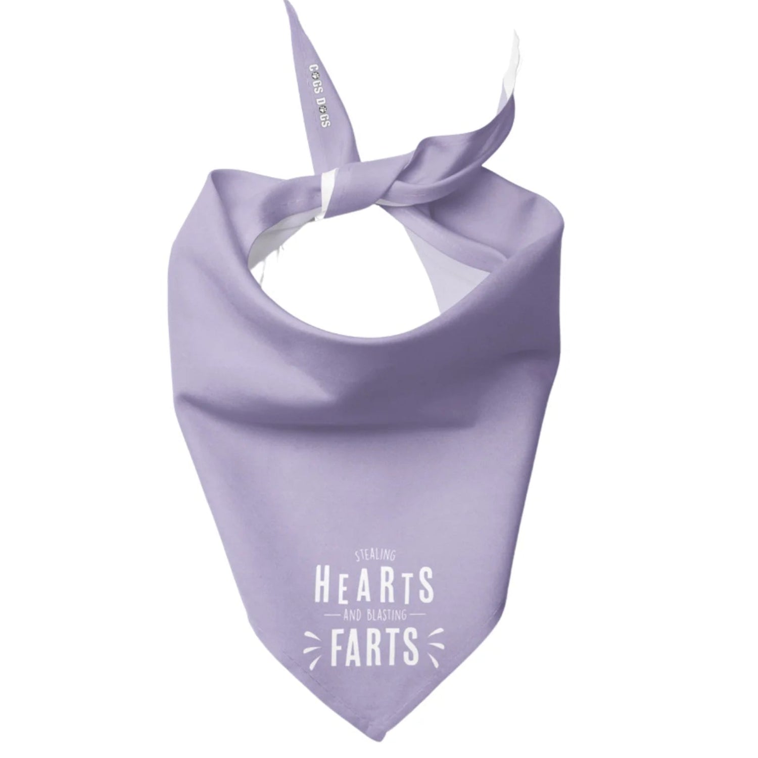 Stealing Hearts And Blasting Farts Dog Bandana