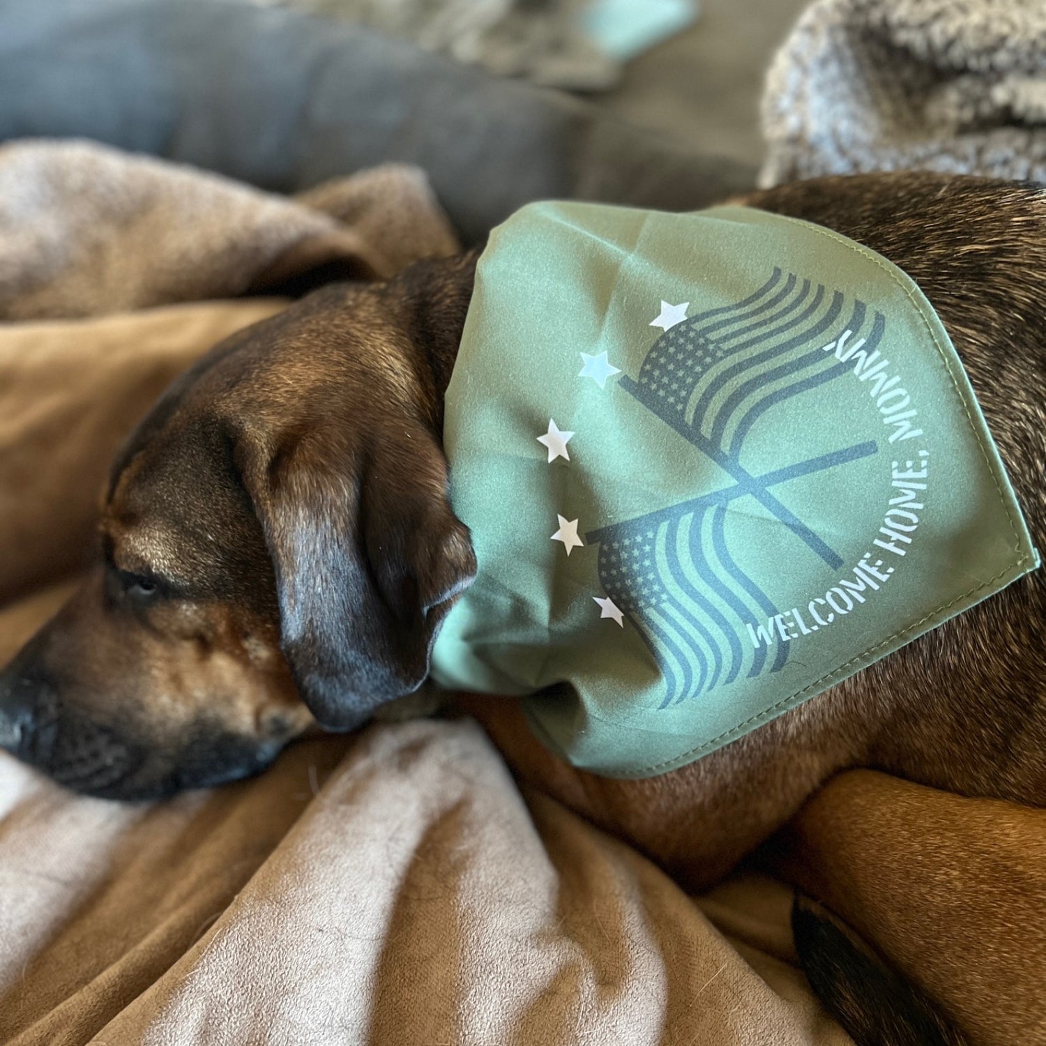 Welcome Home Mommy Military Dog Bandana